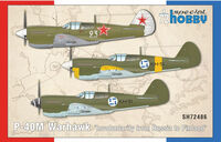 P-40M Warhawk Involuntarily From Russia To Finland - Image 1